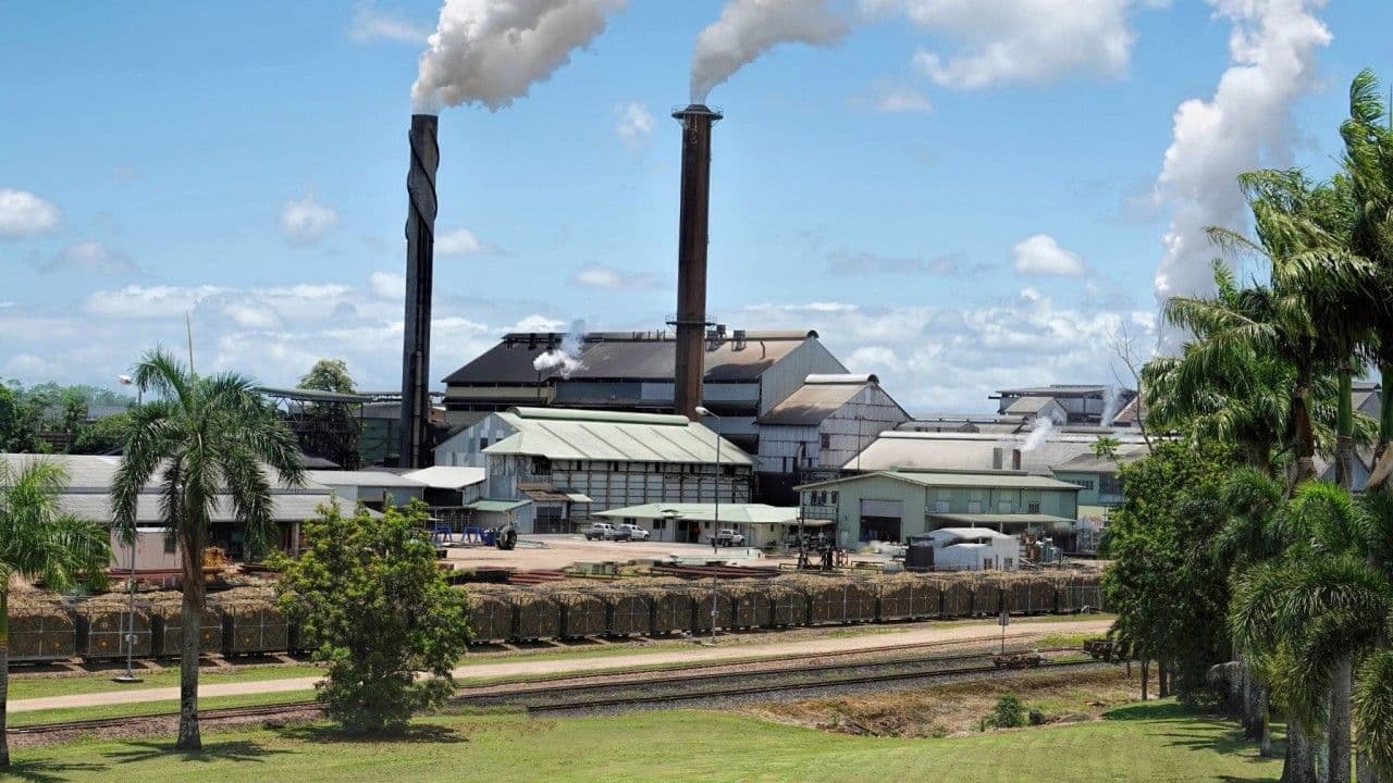 Brazil's Sugar Industry Update – February 2025