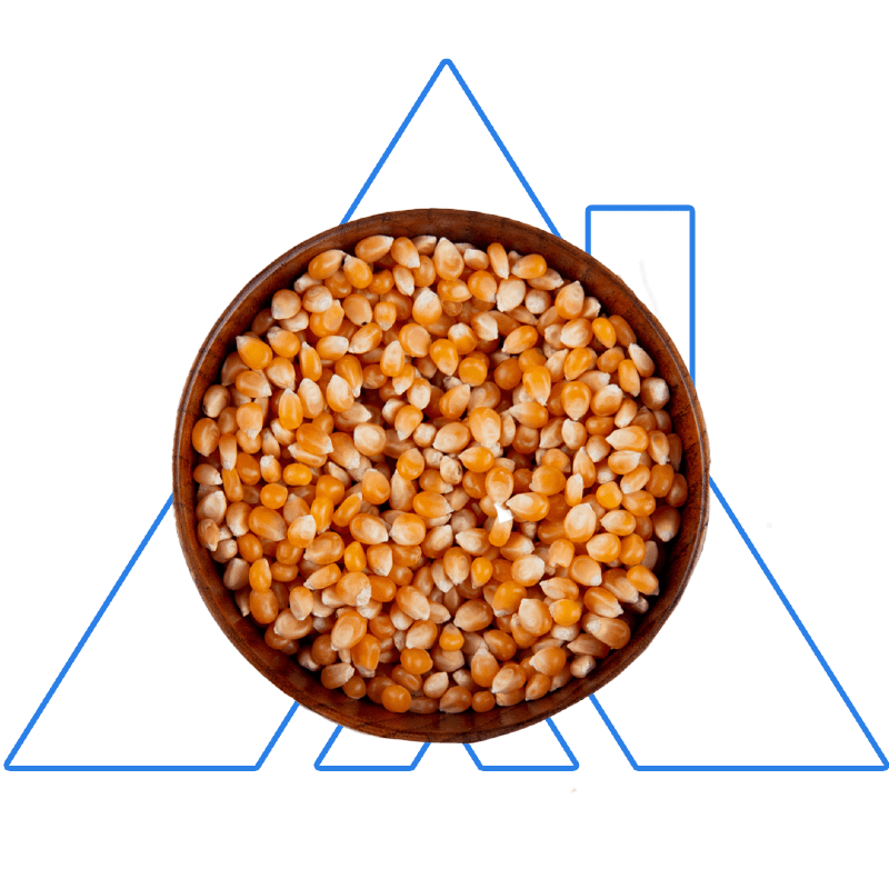 Brazil Corn Kernels