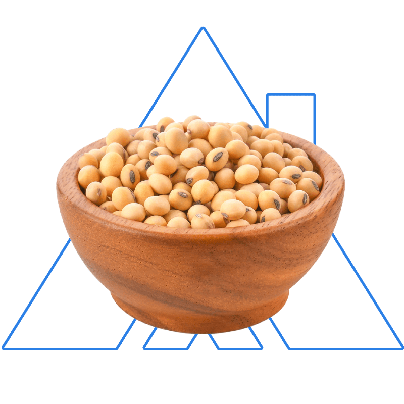 Wooden bowl filled with Brazilian soybeans against a geometric blue background.